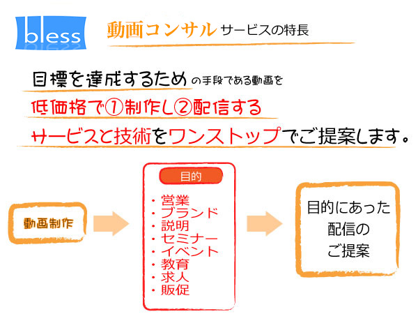 コンサル動画制作プランの特徴