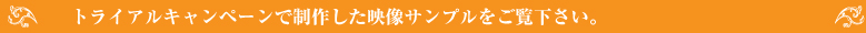 トライアルキャンペーンで制作した映像サンプルをご覧下さい。